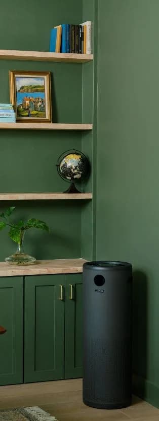 Portable air purifier in office